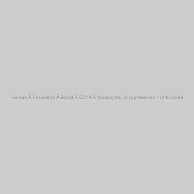 Human Â Peripheral Â Blood Â CD14+Â Monocytes, Cryopreserved / Untouched